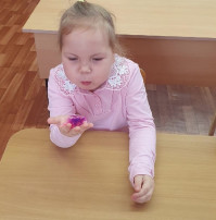 Домашние птицы Домашние птицы.